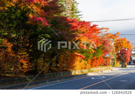 Shinshu in Autumn: Autumn leaves in Karuizawa, Nagano Prefecture Shinshu in Autumn: Autumn leaves in Karuizawa, Nagano Prefecture 126842026