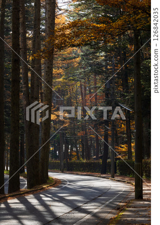 信州的秋天:長野縣輕井澤的三笠街 信州的秋天:長野縣輕井澤的三笠街 126842035