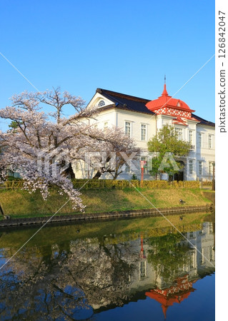 鶴岡公園:櫻花盛開 鶴岡公園:櫻花盛開 126842047