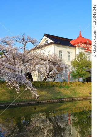 鶴岡公園:櫻花盛開 鶴岡公園:櫻花盛開 126842048