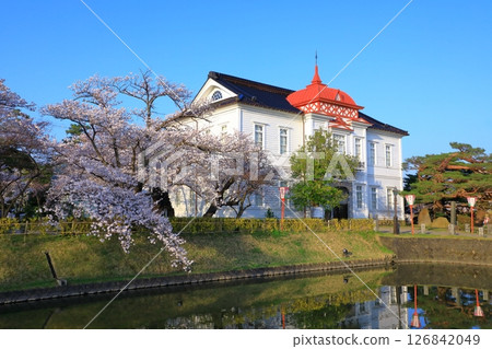 Tsuruoka Park: Cherry blossoms in full bloom Tsuruoka Park: Cherry blossoms in full bloom 126842049