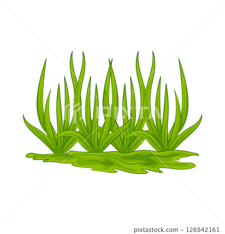 Grass Illustration Grass Illustration 126842161