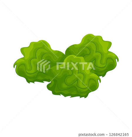 Bush Illustration Bush Illustration 126842165