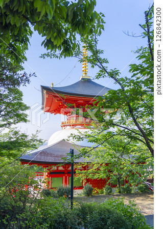中山寺塔(兵庫縣寶塚市) 中山寺塔(兵庫縣寶塚市) 126842300