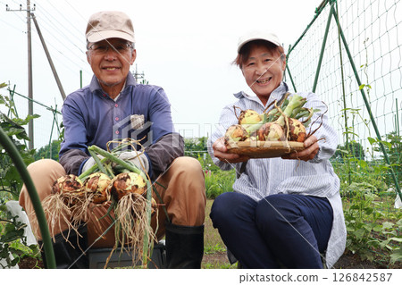 Senior couple holding harvested onions Senior couple holding harvested onions 126842587