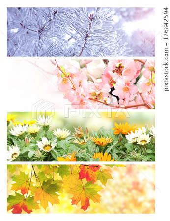 Set of horizontal nature banners. Four season of year. Each one features scene of nature, from the gentle snowfall of winter to the vibrant leaves of summer. Perfect for showcasing changing seasons 126842594