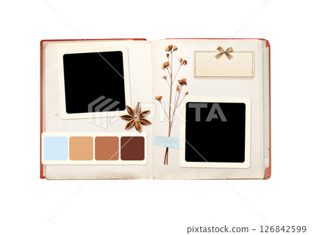 Nostalgic backdrop with moodboard pictures for scrapbooking. Horizontal background with open book, retro photo, dry pressed flowers, star anise, swatch color strip. Vintage style mood board layout 126842599