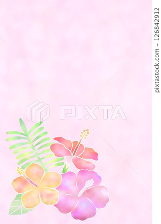 芙蓉背景(明信片)k-2 芙蓉背景(明信片)k-2 126842912