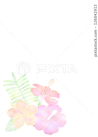 芙蓉背景,光(明信片)k-3 芙蓉背景,光(明信片)k-3 126842913