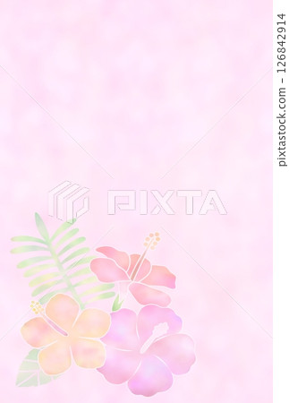 芙蓉背景，光（明信片）k-4 126842914