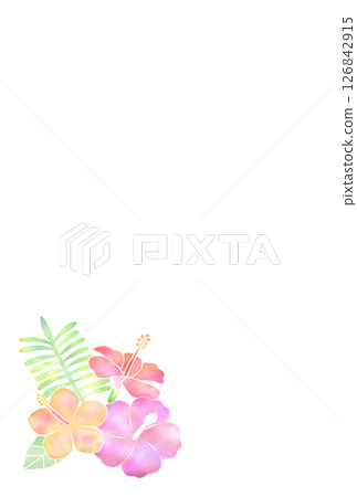 芙蓉背景（明信片）l-1 126842915