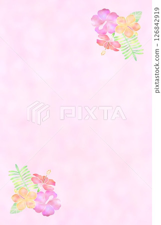 芙蓉背景(明信片)m-2 芙蓉背景(明信片)m-2 126842919