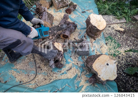 Cutting felled trees into small pieces with a chainsaw Cutting felled trees into small pieces with a chainsaw 126843415