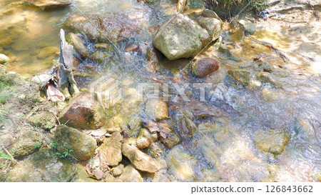 Natural Stream with Flowing Water and Mossy Rocks in Sunlight Natural Stream with Flowing Water and Mossy Rocks in Sunlight 126843662