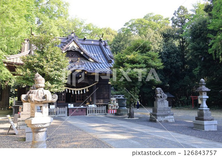 埼玉縣春日部喜西町玉成神社的風景 埼玉縣春日部喜西町玉成神社的風景 126843757