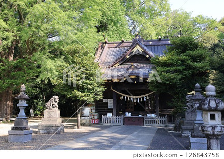 埼玉縣春日部喜西町玉成神社的風景 埼玉縣春日部喜西町玉成神社的風景 126843758