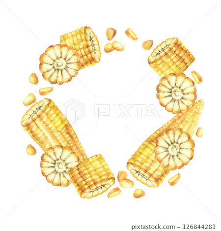 Sweet Corn wreath Golden maize kernels, whole and cut corncobs circle frame. Watercolor realistic yellow corn plant round template. Hand drawn illustration for food oil label. Isolated from background 126844281