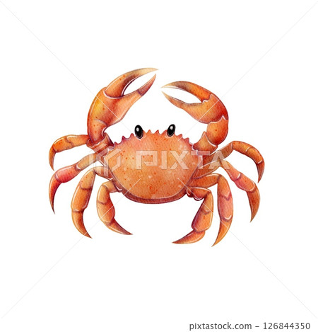 Crab illustration in watercolor style Crab illustration in watercolor style 126844350