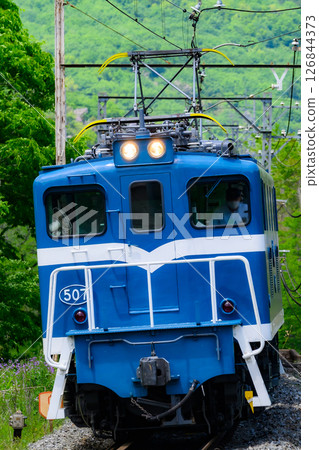 秩父鐵道出507次貨運列車行駛在新綠色之中 126844373