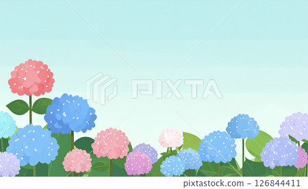 Simple hydrangea illustration 126844411
