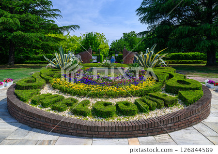 Beautiful landscape with flowers 126844589