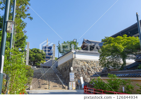 紫雲山中山寺本殿參道（兵庫縣寶塚市） 126844934