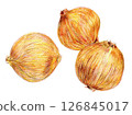 Onion drawn with colored pencils 126845017