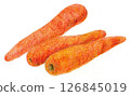 Carrot drawn with colored pencils 126845019