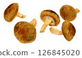 Shiitake mushrooms drawn with colored pencils 126845020