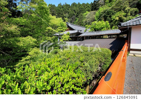 Cosmic energy pours down to protect the capital of Kyoto from evil spirits... Kurama Temple "Honbo Kongo Shounin" 126845091