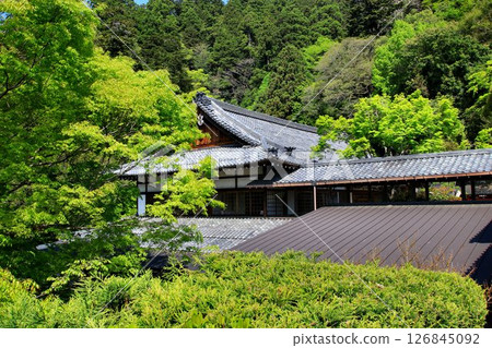 宇宙能量傾瀉而下，守護京都免受惡靈侵擾…鞍馬寺“本坊金剛聖人” 126845092