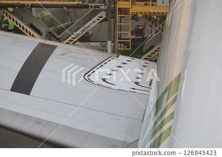 飛機機翼 飛機機翼 126845423