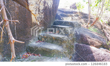 Old Stone Steps Carved into Natural Rock in Tropical Forest 126846183