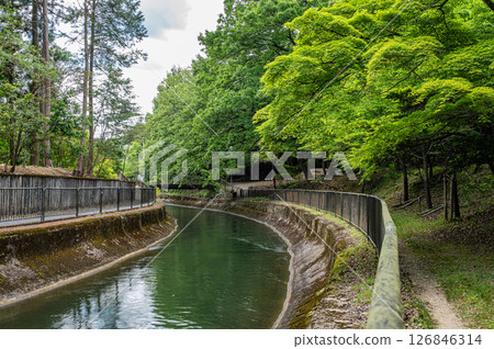 琵琶湖疏水道 京都市 126846314