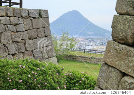 Marugame Castle stone walls and Sanuki Fuji 126846404