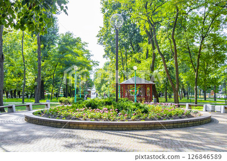 Brest City Park green nature art and landscape in Belarus. 126846589