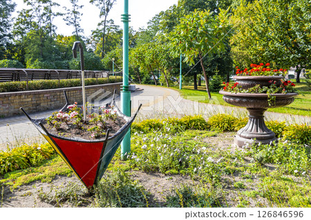 Brest City Park green nature art and landscape in Belarus. Brest City Park green nature art and landscape in Belarus. 126846596