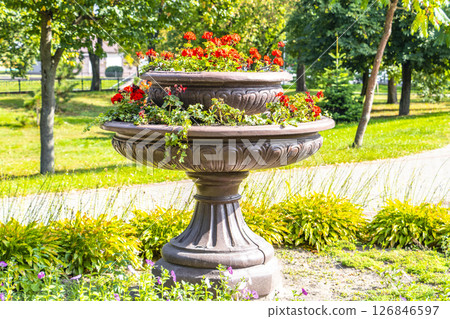 Brest City Park green nature art and landscape in Belarus. 126846597