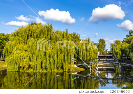 Brest City Park Belarus green nature river lake pond bridge. 126846603
