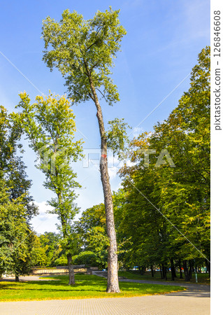 Brest City Park Belarus green nature river lake pond landscape. 126846608