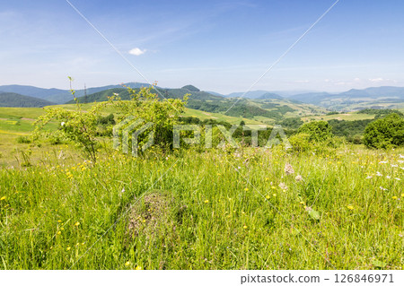 rural fields with meadows and forested hills. village in the valley. alpine countryside landscape in summer with mountain range in the distance. sunny forenoon weather with fluffy clouds on sky rural fields with meadows and forested hills. village in the valley. alpine countryside landscape in summer with mountain range in the distance. sunny forenoon weather with fluffy clouds on sky 126846971