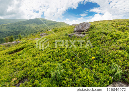 stones and rocks on the slope of alpine meadow. beautiful view. summer mountain landscape with cloudy sky. grassy hill top in the distant background. carpathian travel destination stones and rocks on the slope of alpine meadow. beautiful view. summer mountain landscape with cloudy sky. grassy hill top in the distant background. carpathian travel destination 126846972