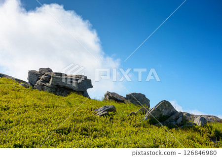 boulder on a hill under blue sky with clouds in summer. huge sandstone among the grass. steep slope mount smooth in transcarpathia on a sunny forenoon boulder on a hill under blue sky with clouds in summer. huge sandstone among the grass. steep slope mount smooth in transcarpathia on a sunny forenoon 126846980