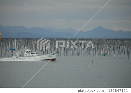Omuta City Ariake Sea Nori field, Omuta City Ariake Sea Nori field, 126847121