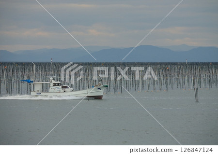 大牟田市有明海紫菜場， 126847124