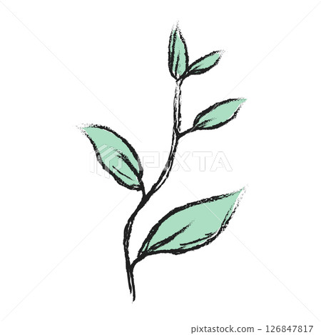 Branch with green leaves hand drawn illustration. Floral element design. Hand drawn botanical illustration 126847817