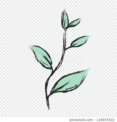 Branch with green leaves hand drawn illustration. Floral element design. Hand drawn botanical illustration 126847818