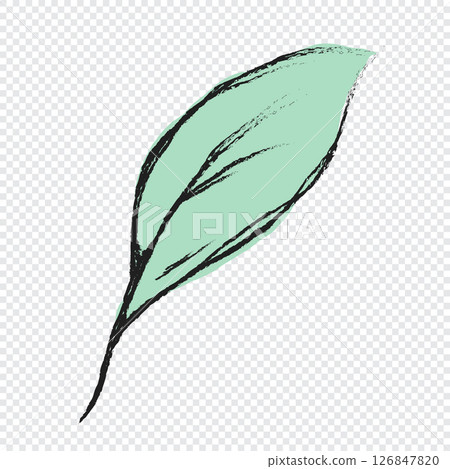 Green leaves hand drawn illustration. Floral element design. Hand drawn botanical illustration 126847820