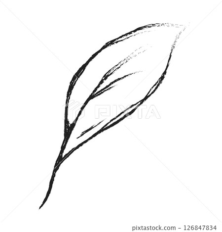 Leaves hand drawn illustration. Floral element design. Hand drawn botanical illustration 126847834