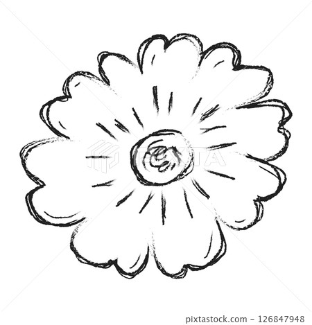 Flower hand drawn illustration. Floral element design. Hand drawn botanical illustration 126847948